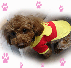 2015.04.11.gif