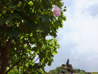 2012Flower59