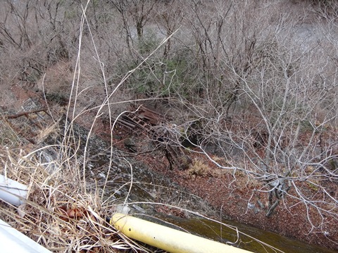 DSC00061 2.jpg