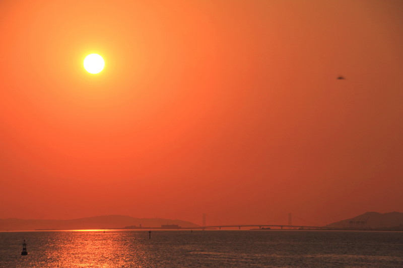舞洲の夕日_03.JPG