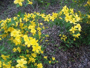 130510_130229.jpg
