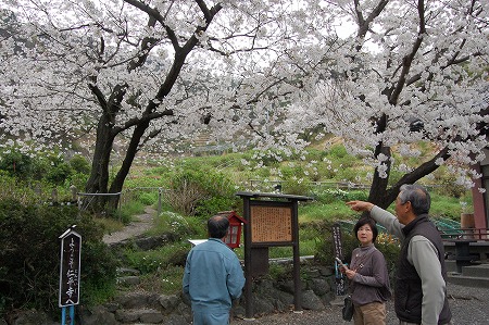 s-DSC_0044.jpg