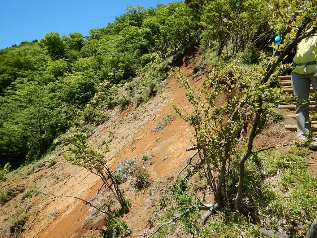 2018年5月20日 大山（神奈川）登山 ※行方不明男性発見されました | GATO NEGRO 安心してください 毛玉 吐いてますよ