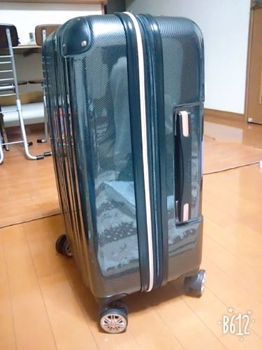 rblog-20190104202838-03.jpg