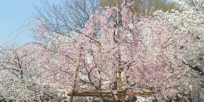 鶴舞公園