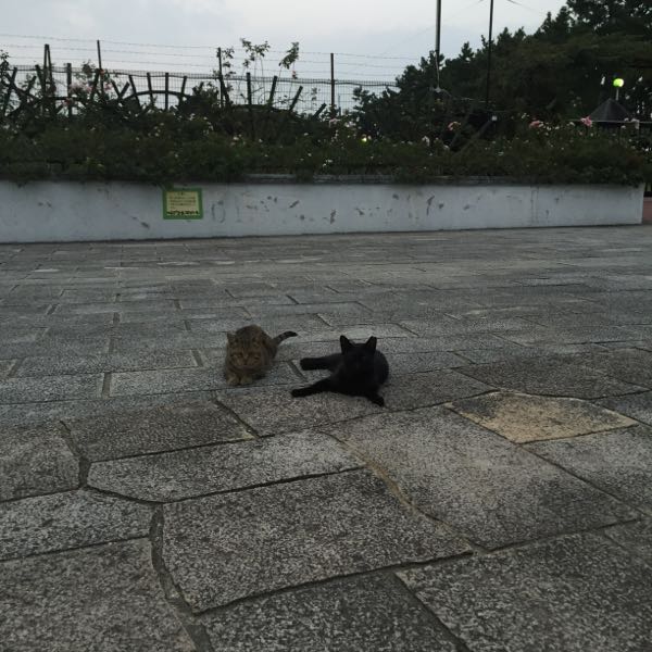 rblog-20160819080829-01.jpg