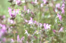 2015040423.jpg
