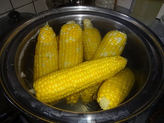 2012-08-05 13.53.22.jpg