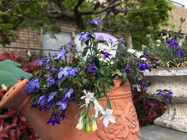rblog-20190423182339-05.jpg