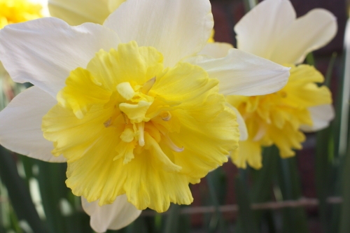 20160414005.JPG