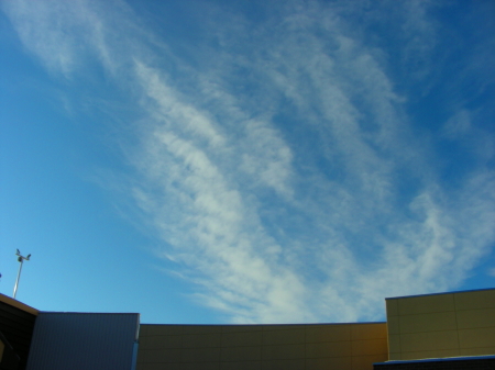 12-12mori-sora (1).JPG