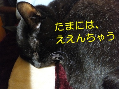 20121106_6.jpg