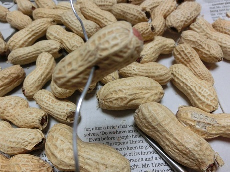 ピーナッツリース