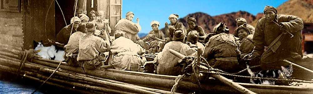 耳（ミミ）とチャッピの布団