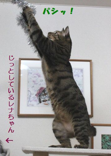 タワー猫５.jpg