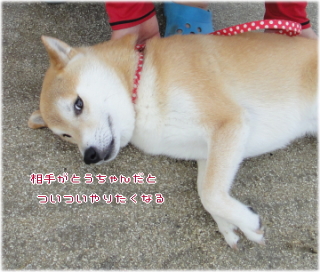 ken願い1.jpg