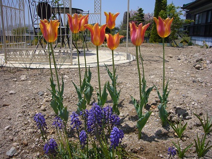 P1080379-2.jpg