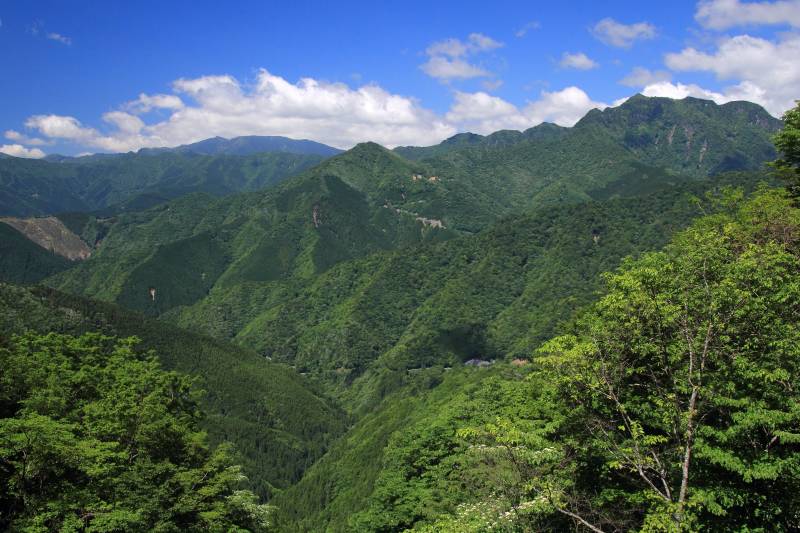 大台ケ原_005.jpg