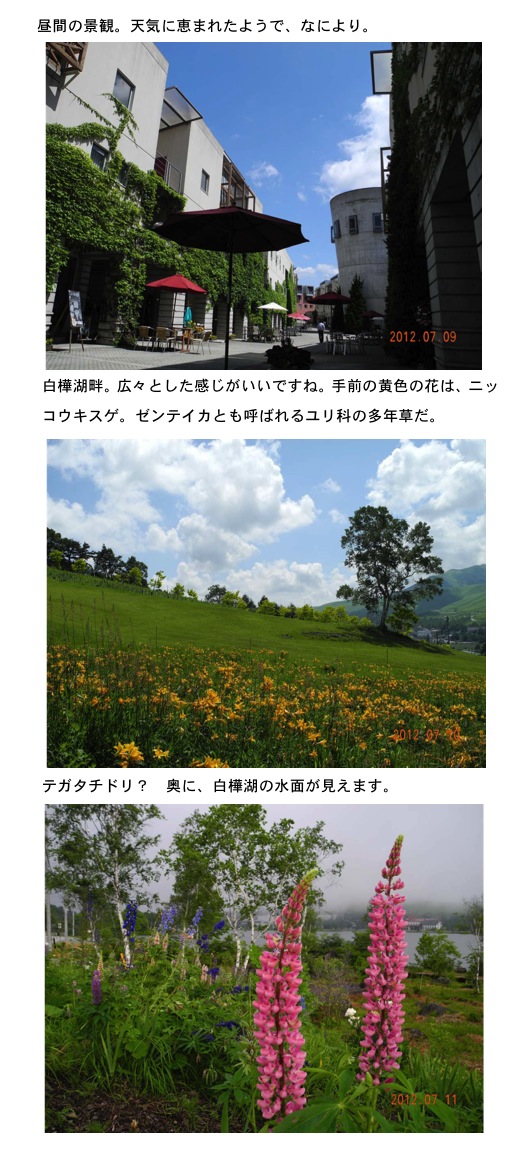 2012.07.14-3.jpg
