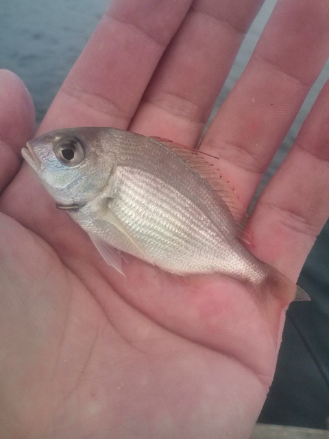 20120519171020.jpg