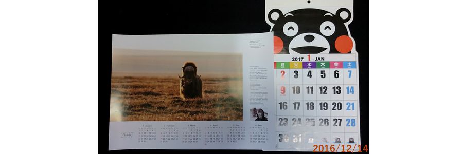 １２／１４カレンダーラインナップ.jpg