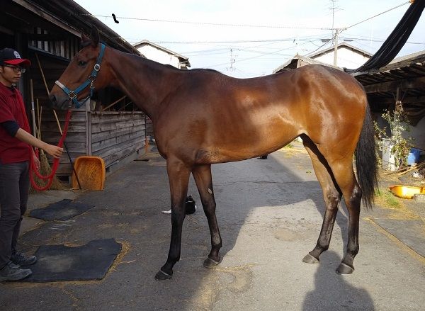 古谷 剛彦 の記事一覧 地方競馬の楽天競馬 日替わりライターブログ 楽天ブログ