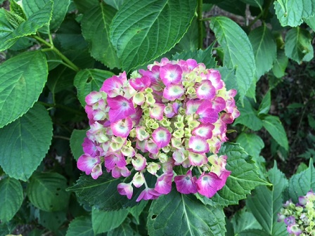 28.6．10－10.jpg