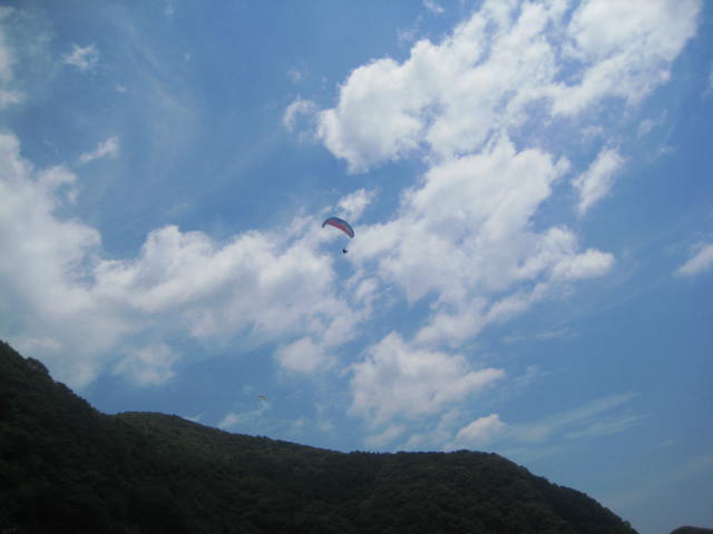 IMG_4299.JPG