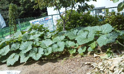 140802_1030~01.jpg