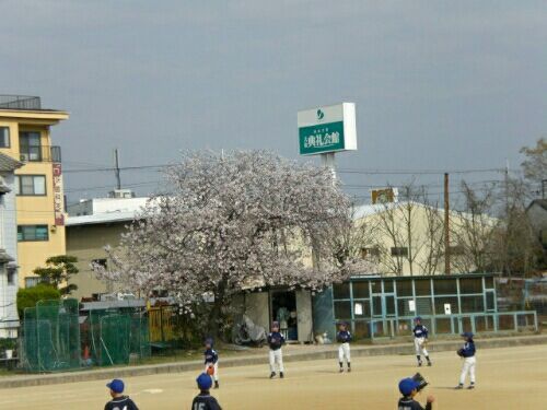 rblog-20180510211835-00.jpg