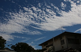 IMG_7452-3.jpg