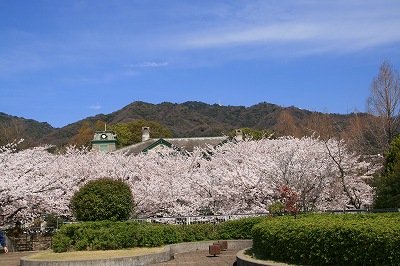 IMG_7107.jpg