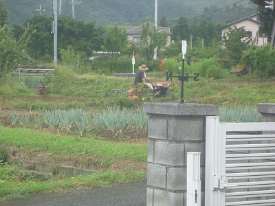 除草前の法面。