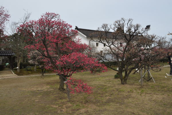 内山邸