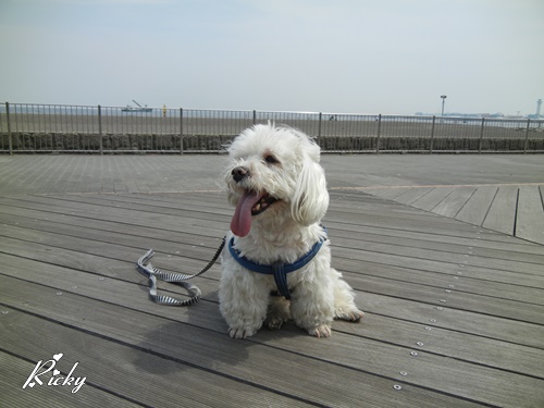 城南島海浜公園にて