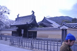DSC_2121.jpg
