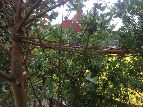 rblog-20170912073240-02.jpg