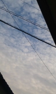 鰯雲２.jpg