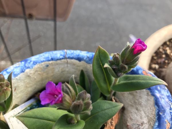 rblog-20190324174434-08.jpg