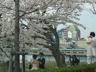P1280052ss.jpg