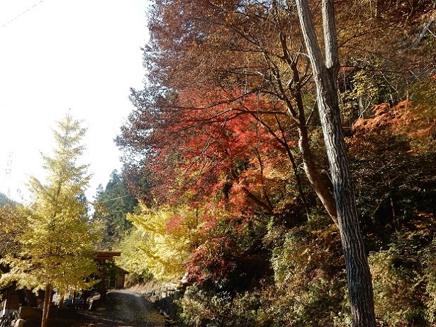 荒川橋、キャンプ場