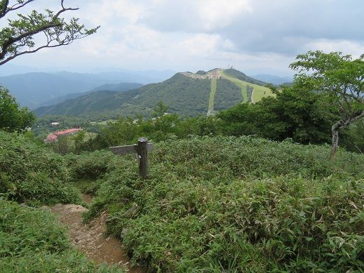 近場でお茶を濁す 茶臼山 愛知県最高峰 Kikiの山行き 山と山の花 楽天ブログ