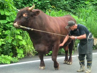 115 のコピー.jpg