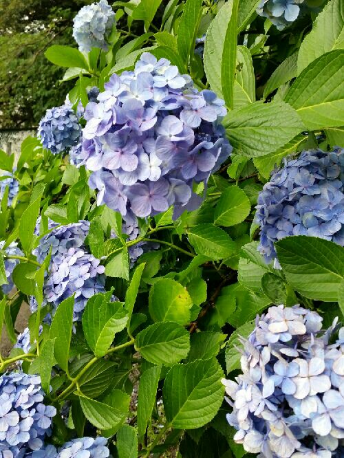 rblog-20150705152657-02.jpg