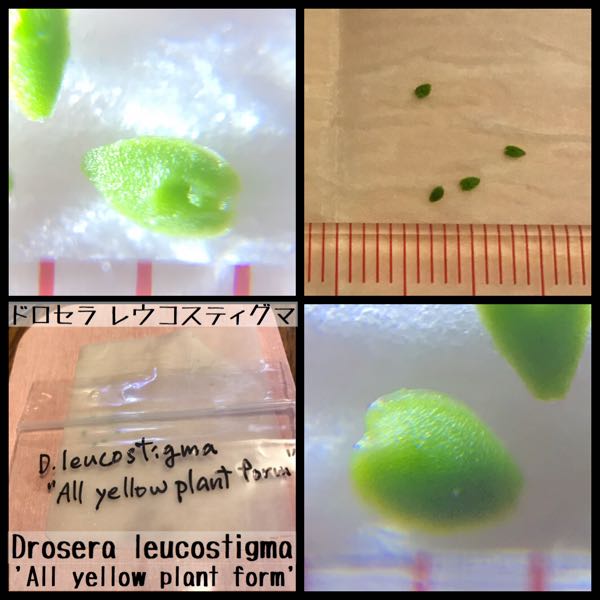 rblog-20180111000357-04.jpg