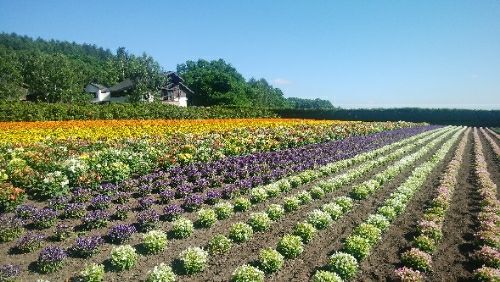 rblog-20180728082751-04.jpg