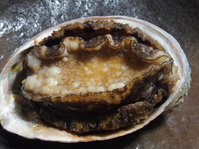 P6110045.jpg