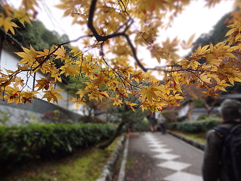 2012120203