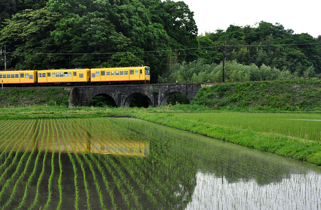 電車４