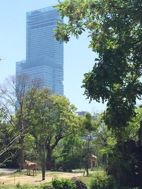 thumbnail_IMG_3271.jpg
